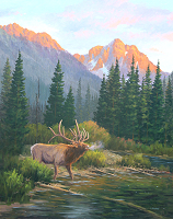 Elk