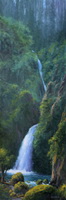 Tanner Falls