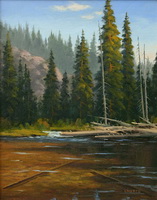 Payette Shadows