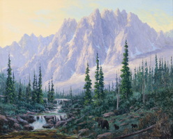 Bears
