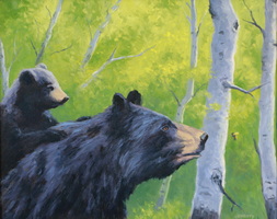 Bears