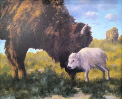 Bison