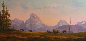 Bison