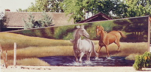 Side of a Farm Shed