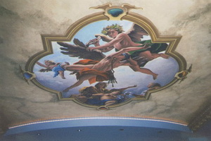 Ceiling of Home Theatre